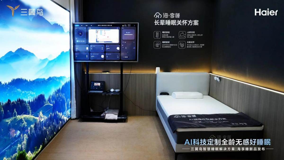 冠軍娛樂：睡不著？三翼鳥：睡得好