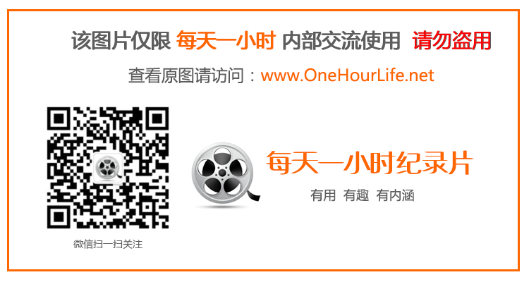 {老虎機}(野外求生夫妻档全集免费观看) {老虎機}(野外求生夫妻档全集免费观看)