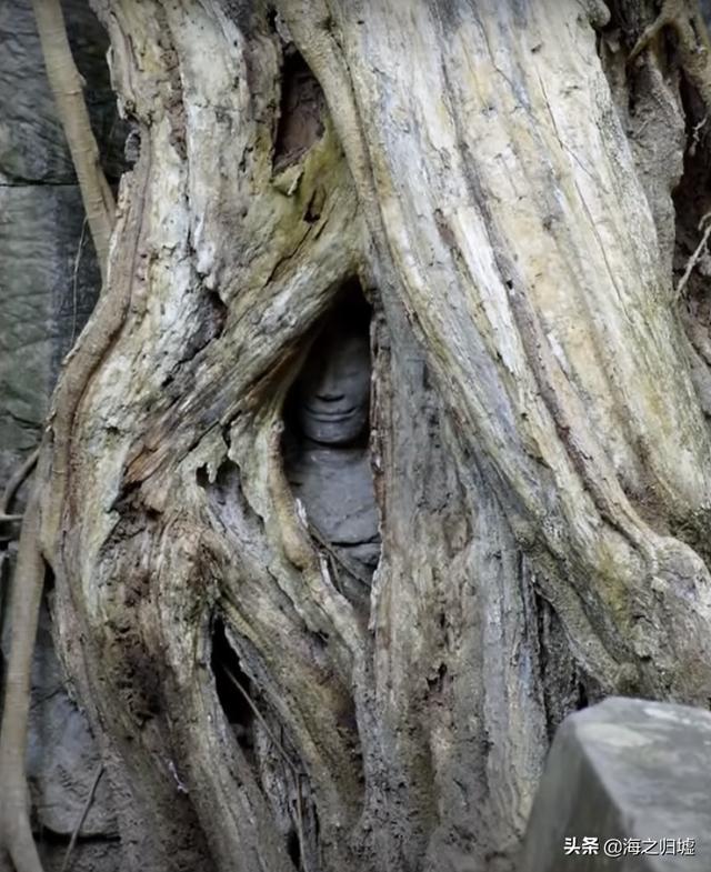 {21點}(语文书上最恐怖一页) {21點}(语文书上最恐怖一页)